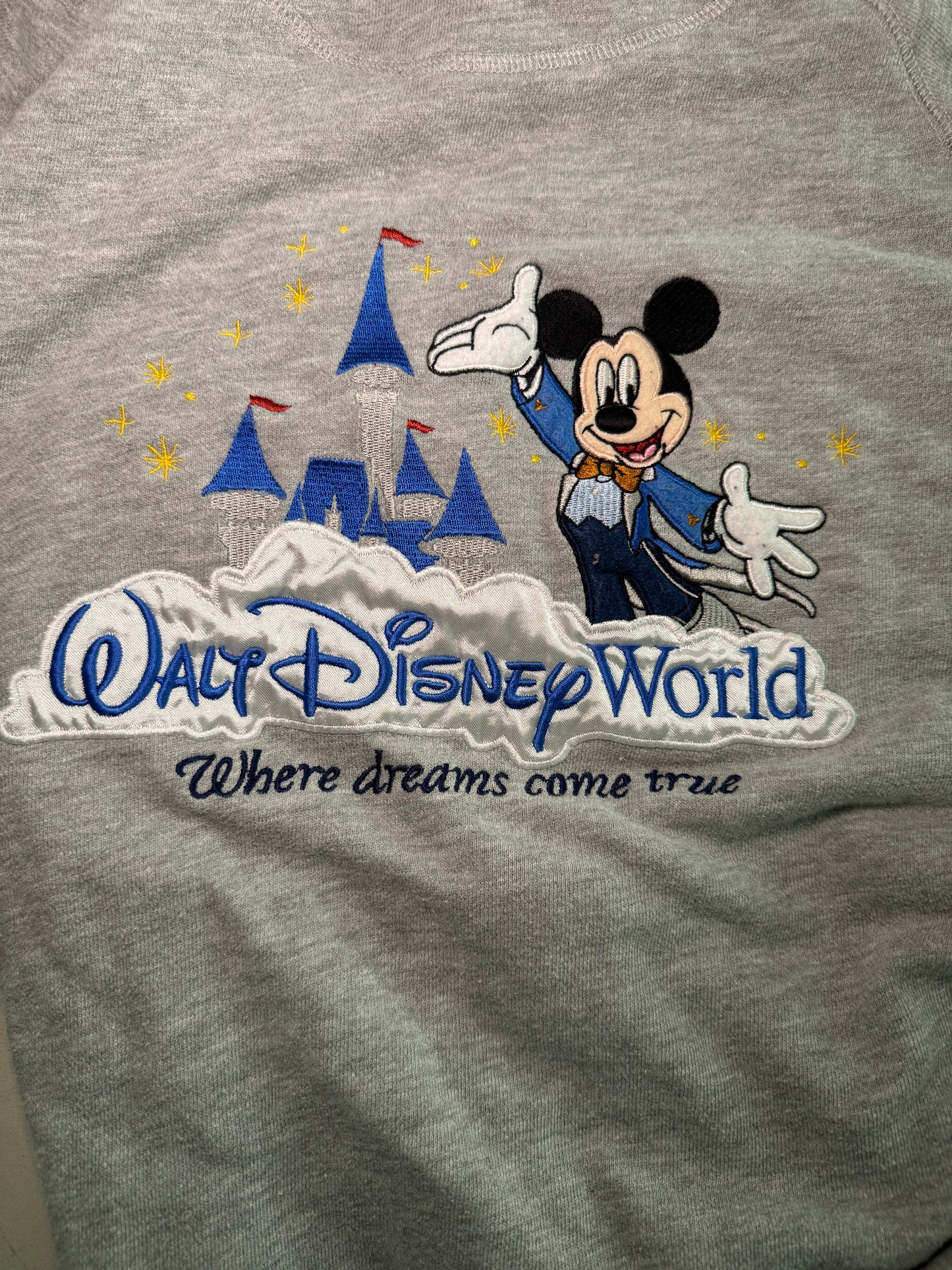 Walt Disney World Zip Up Hoodie
